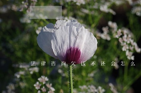 法律咨询欠钱不还会怎么办 法律咨询欠钱不还会怎么办