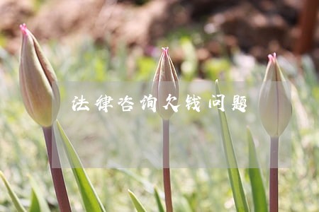 法律咨询欠钱问题 法律咨询欠钱问题