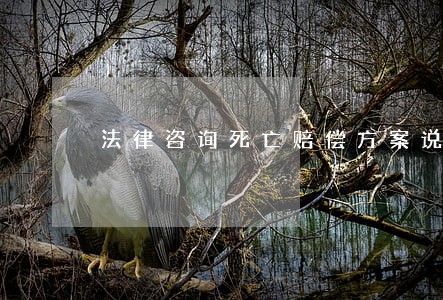法律咨询死亡赔偿方案说明 法律咨询死亡赔偿方案说明