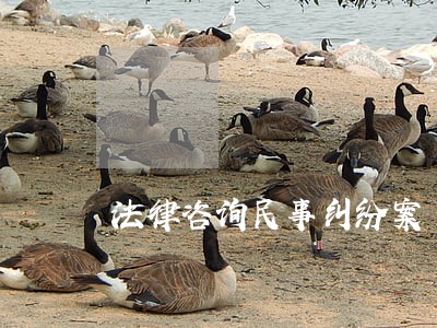 法律咨询民事纠纷案 法律咨询民事纠纷案