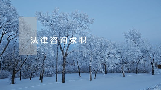 法律咨询求职