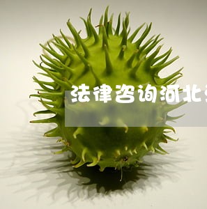 法律咨询河北沧州 法律咨询河北沧州