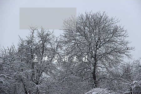法律咨询流程 法律咨询流程