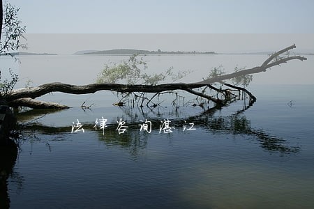 法律咨询湛江