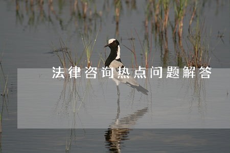 法律咨询热点问题解答 法律咨询热点问题解答