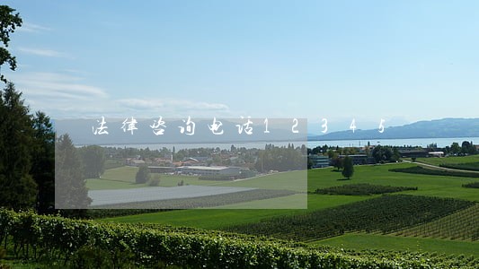 法律咨询电话12345 法律咨询电话12345