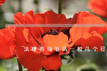 法律咨询电话一般几个号 法律咨询电话一般几个号