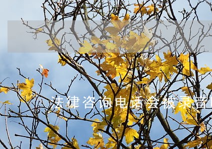 法律咨询电话会被录音吗 法律咨询电话会被录音吗