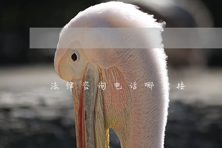 法律咨询电话哪里接 法律咨询电话哪里接