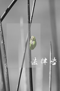 法律咨询电话怎么打不通