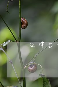 法律咨询电话最新版本 法律咨询电话最新版本