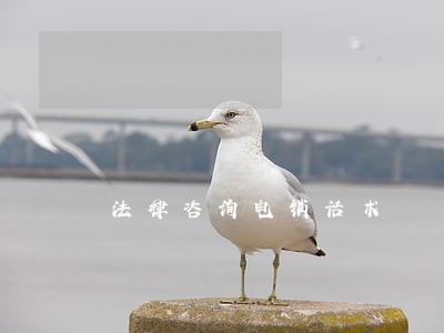 法律咨询电销话术 法律咨询电销话术