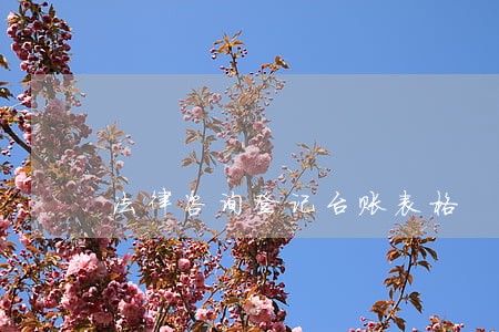 法律咨询登记台账表格 法律咨询登记台账表格