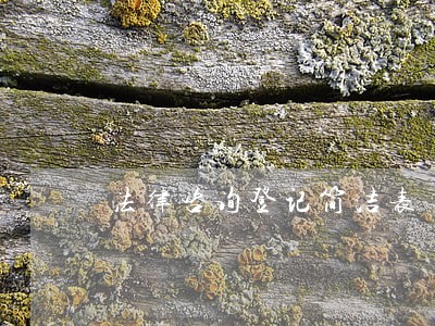 法律咨询登记简洁表