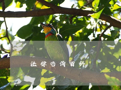 法律咨询百科 法律咨询百科