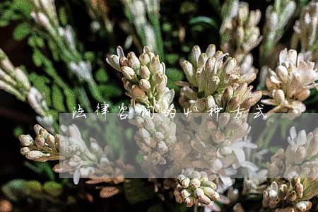 法律咨询的4种方式 法律咨询的4种方式