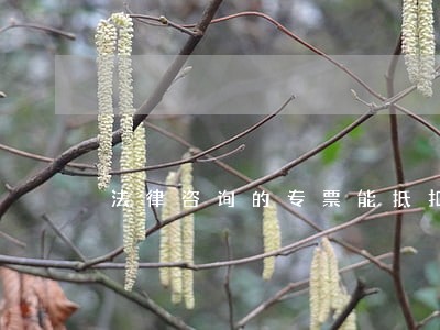 法律咨询的专票能抵扣吗 法律咨询的专票能抵扣吗