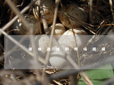法律咨询的市场规模 法律咨询的市场规模
