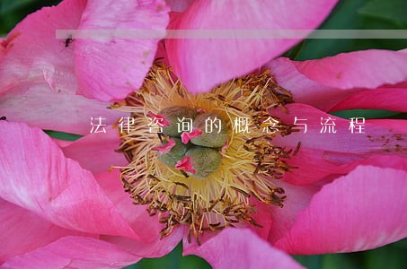 法律咨询的概念与流程 法律咨询的概念与流程