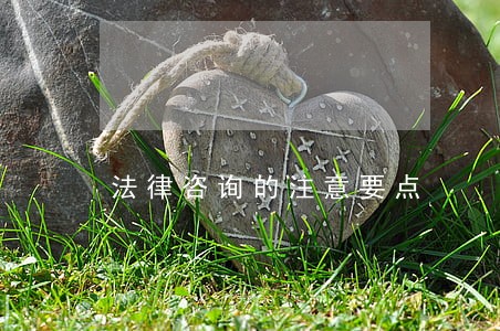 法律咨询的注意要点 法律咨询的注意要点