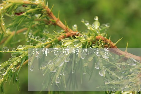 法律咨询的电话号 法律咨询的电话号