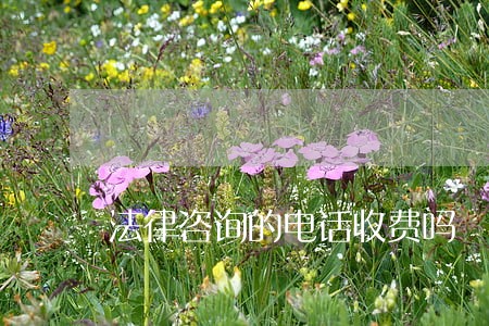 法律咨询的电话收费吗 法律咨询的电话收费吗