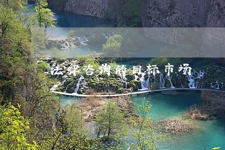法律咨询的目标市场 法律咨询的目标市场