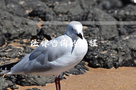 法律咨询的课程 法律咨询的课程