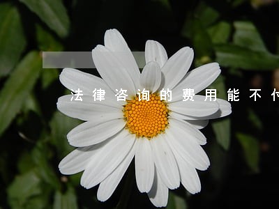 法律咨询的费用能不付吗 法律咨询的费用能不付吗