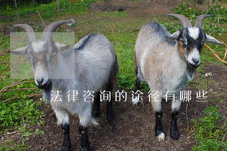 法律咨询的途径有哪些 法律咨询的途径有哪些