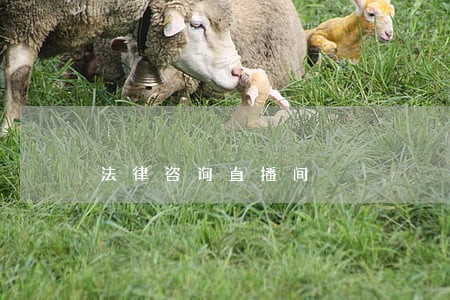 法律咨询直播间 法律咨询直播间