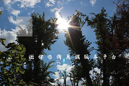 法律咨询真诚服务平台