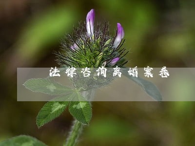 法律咨询离婚案卷