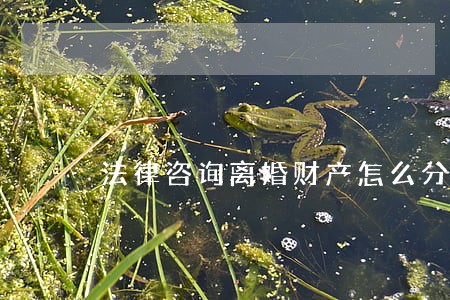 法律咨询离婚财产怎么分 法律咨询离婚财产怎么分
