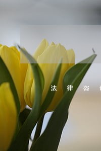 法律咨询科目 法律咨询科目