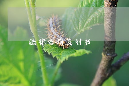法律咨询策划书 法律咨询策划书