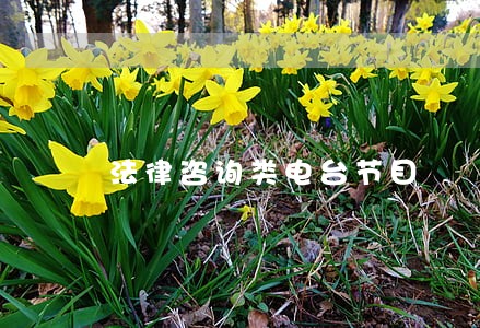法律咨询类电台节目 法律咨询类电台节目
