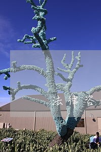 法律咨询类的营业执照 法律咨询类的营业执照