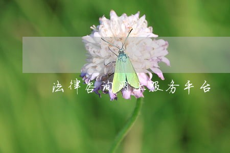 法律咨询网上服务平台 法律咨询网上服务平台