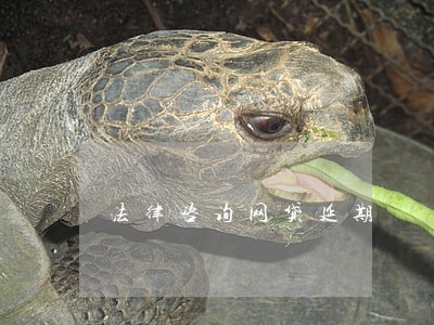 法律咨询网贷延期 法律咨询网贷延期