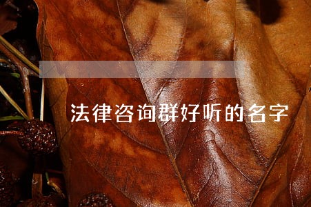 法律咨询群好听的名字 法律咨询群好听的名字