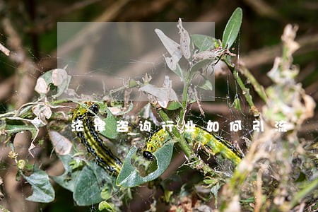 法律咨询行业如何引流 法律咨询行业如何引流