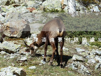 法律咨询要付钱的谁给的规定