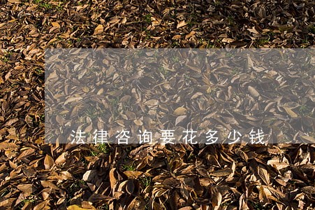 法律咨询要花多少钱 法律咨询要花多少钱