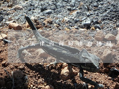 法律咨询解读直播间 法律咨询解读直播间
