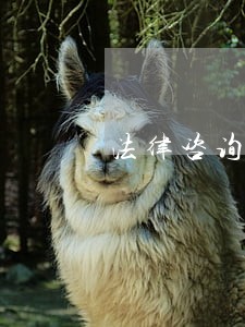 法律咨询记录表格 法律咨询记录表格
