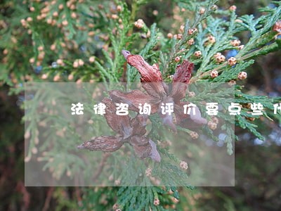 法律咨询评价要点些什么 法律咨询评价要点些什么
