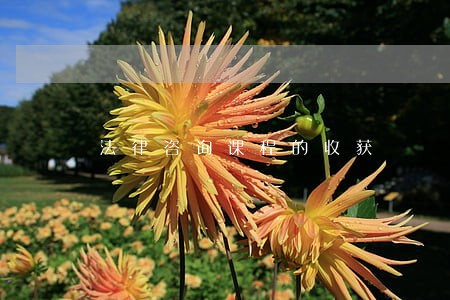 法律咨询课程的收获 法律咨询课程的收获