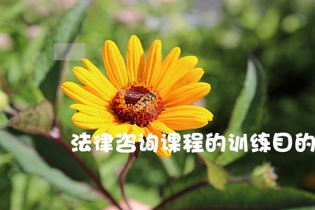 法律咨询课程的训练目的 法律咨询课程的训练目的