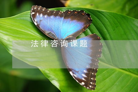 法律咨询课题 法律咨询课题